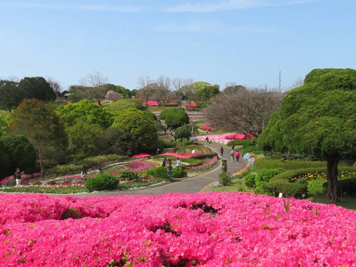🌳 불로산 종합공원(후로산 소고 코엔) 이미지 3